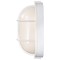 Nuvo LED Oval Bulk Head Fixture, White Finish with White Glass 62/1390 - alternate 3